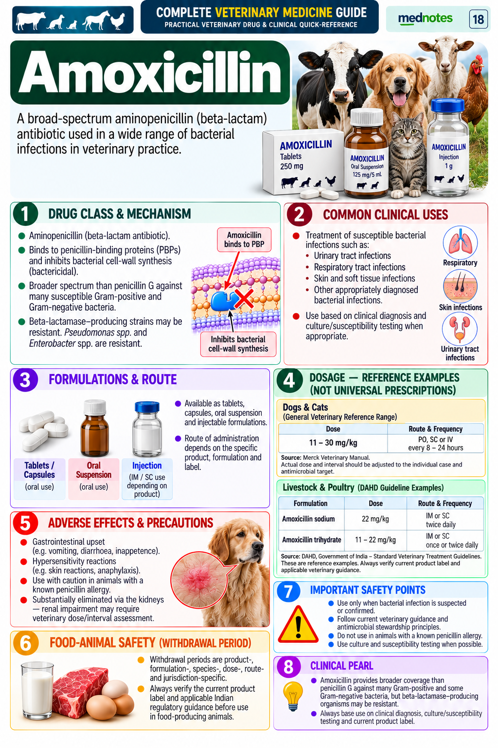 Amoxicillin